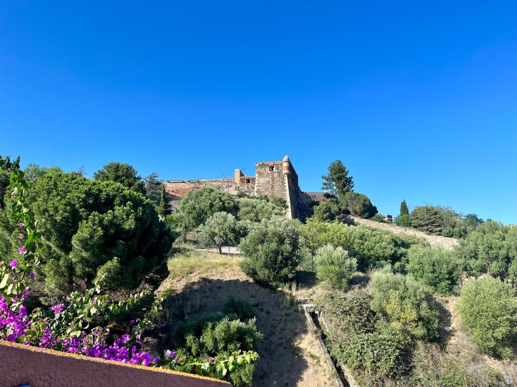 Appartement Collioure, Grande Terrasse Et Parking Eksteriør bilde