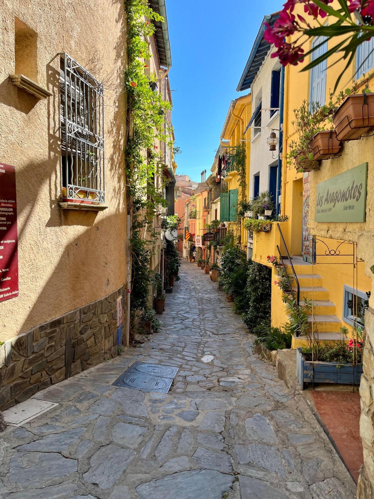 Appartement Collioure, Grande Terrasse Et Parking Eksteriør bilde